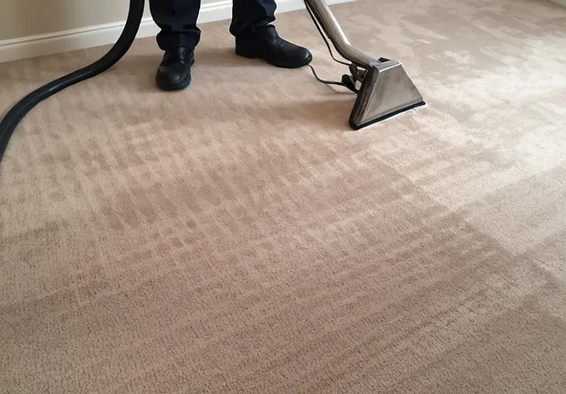 City Wide Cleaning professional deep-cleaning a carpet